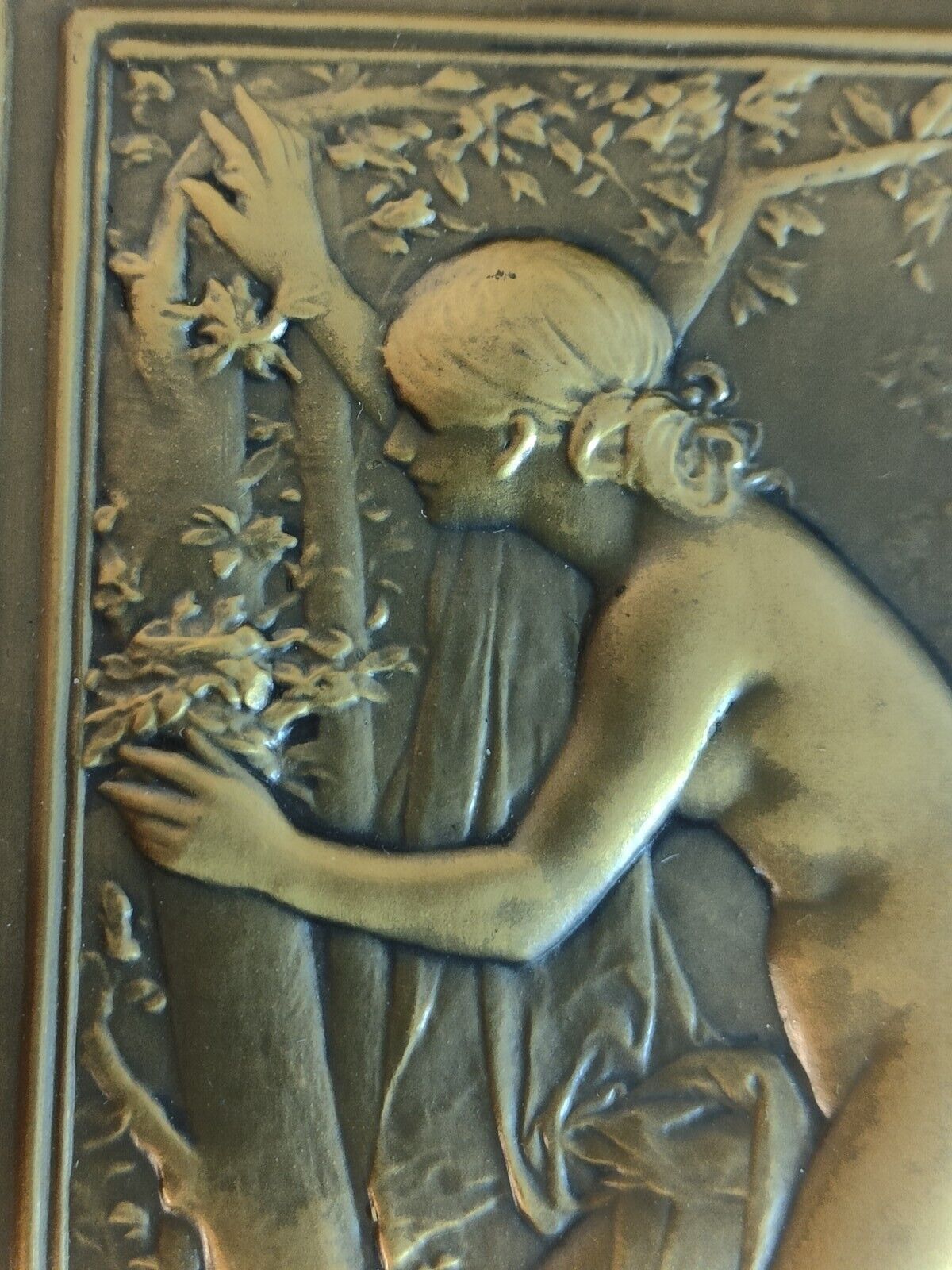 Médaille Bronze Art Nouveau Daniel Dupuis Le Nid Femme Nue