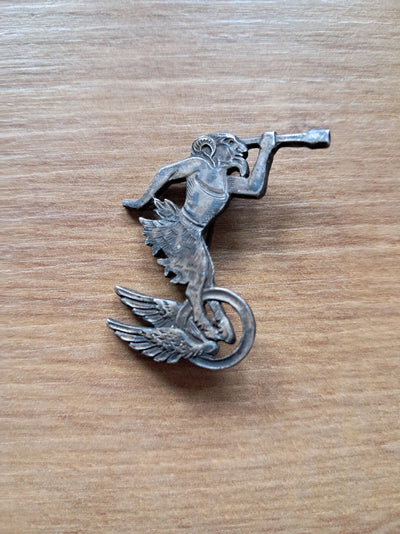 Insigne escadrille BR207 ou SAL263