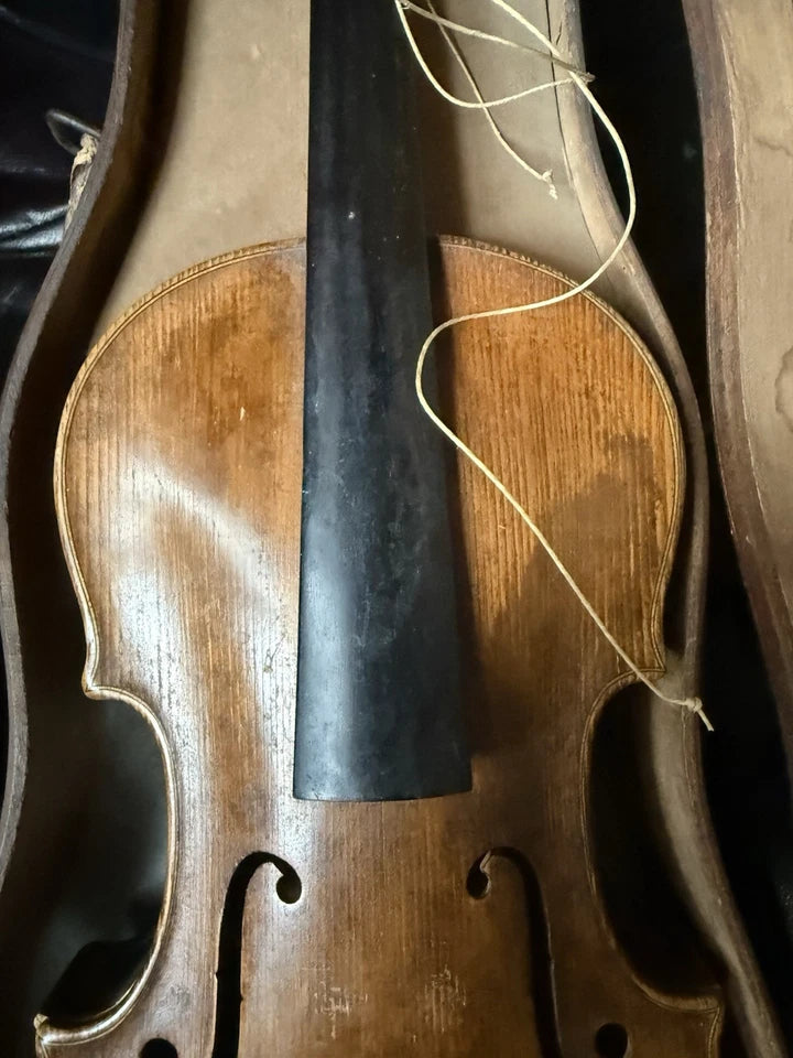 Violon Ancien Luthier Louis Colonot