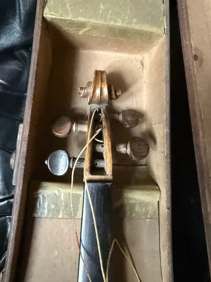 Violon Ancien Luthier Louis Colonot