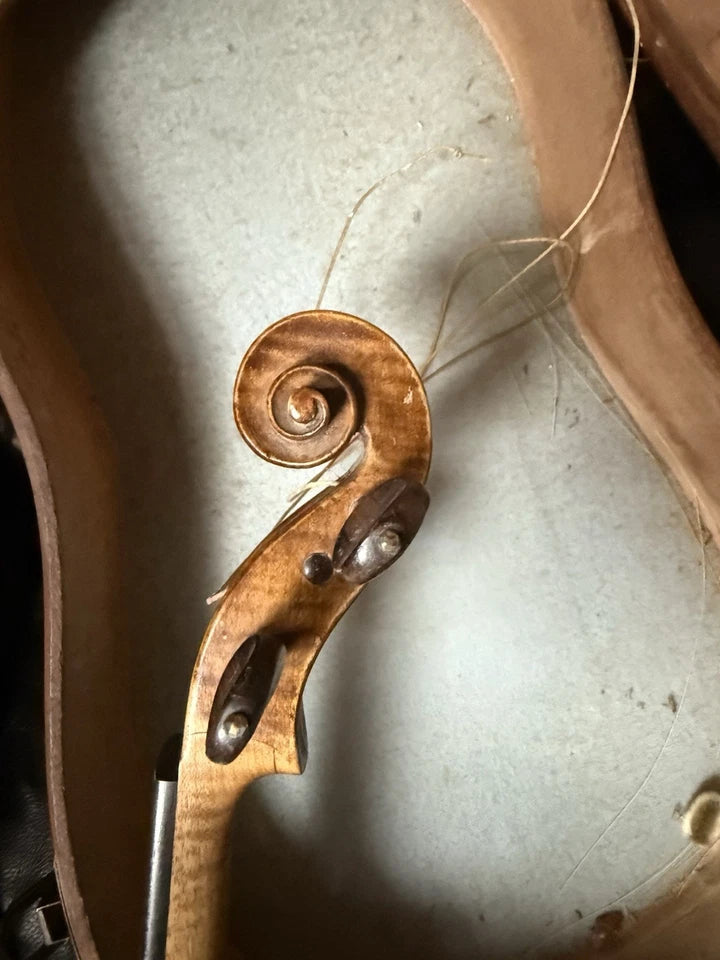 Violon Ancien Luthier Louis Colonot