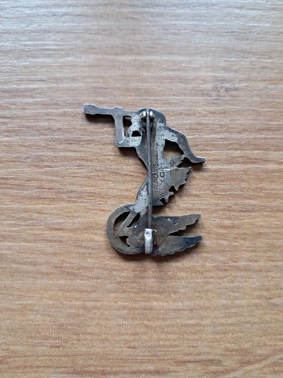 Insigne escadrille BR207 ou SAL263
