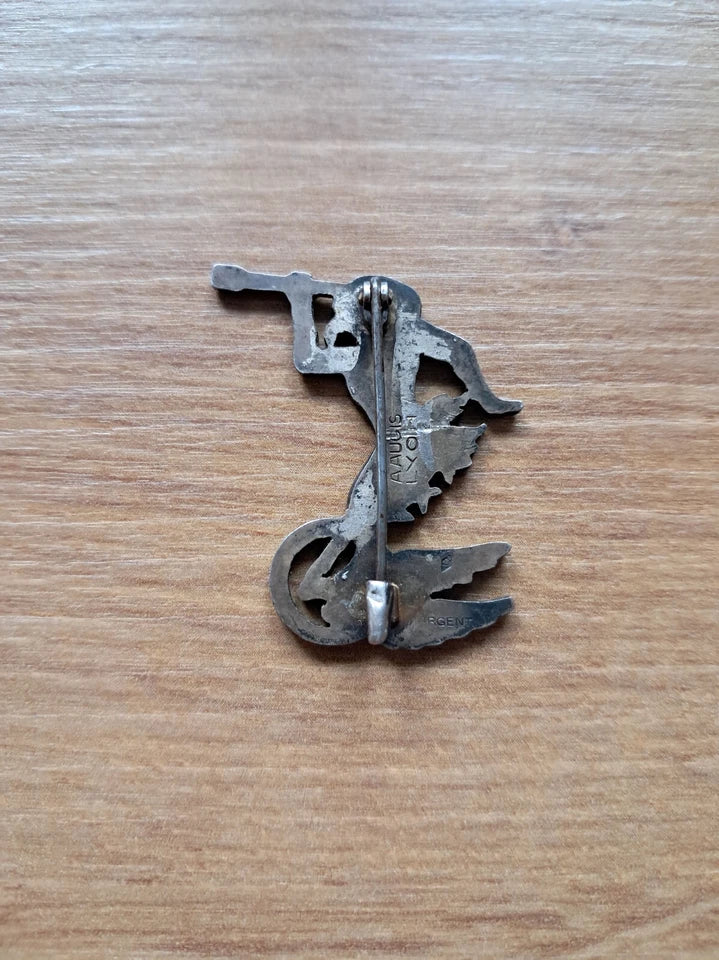 Insigne escadrille BR207 ou SAL263